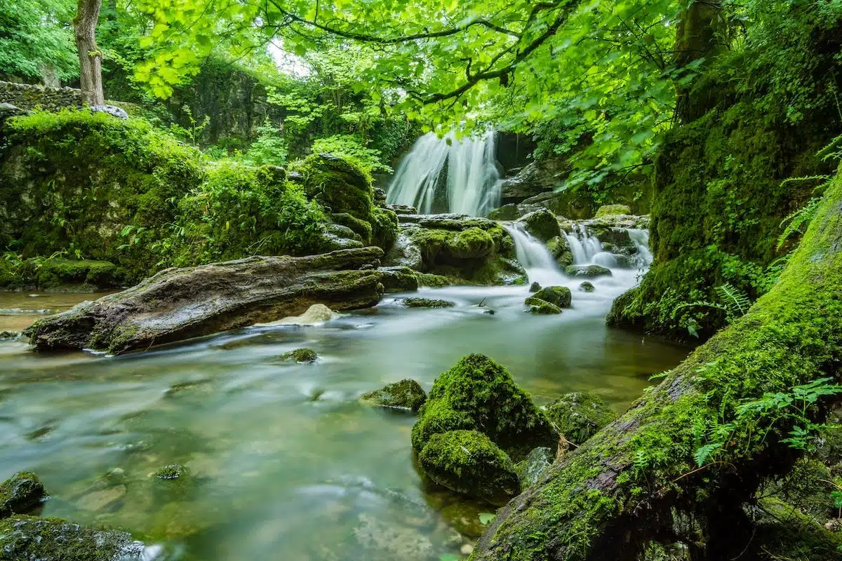 qualité environnement