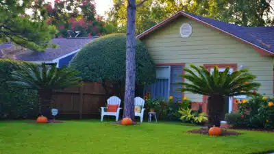 Créer un espace cocooning dans le jardin avec un fauteuil